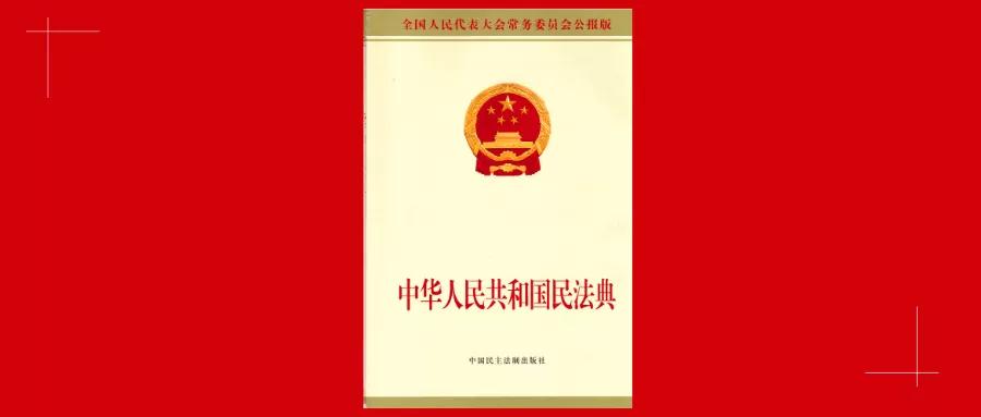 中华人民共和国民法典 总则（全国人民代表大会常务委员会公报版）